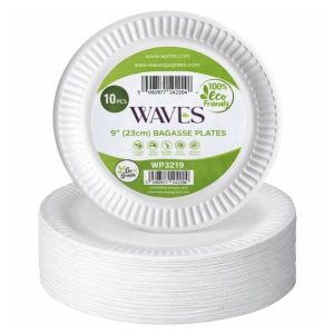 Disposable Paper Plates